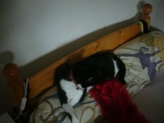 Frimousse toilette.MOV