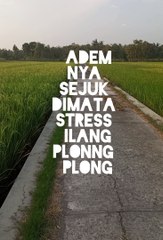 Pemandangan desa sejuk