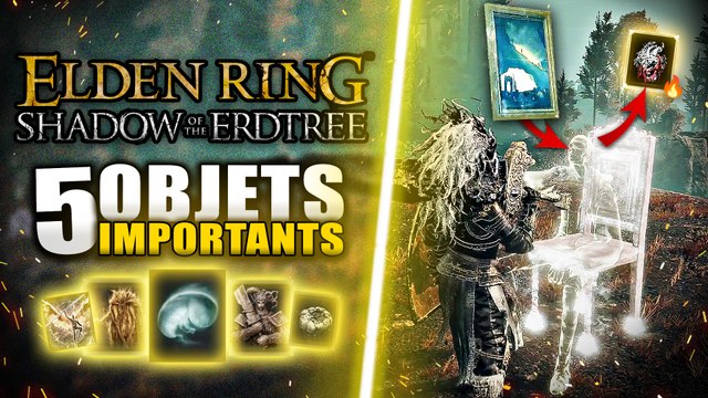ELDEN RING Shadows of Erdtree : 5 Objets IMPORTANTS à TROUVER (Larmes Larvaire, Tableaux Souvenirs)