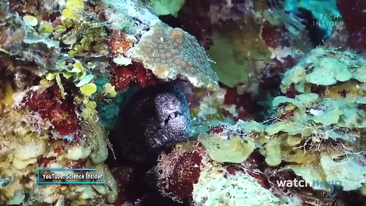 Top 20 Scariest Places on Earth You Should Never Visit Alone