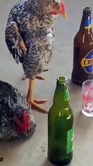 Yang Like Masuk Surga Aminn