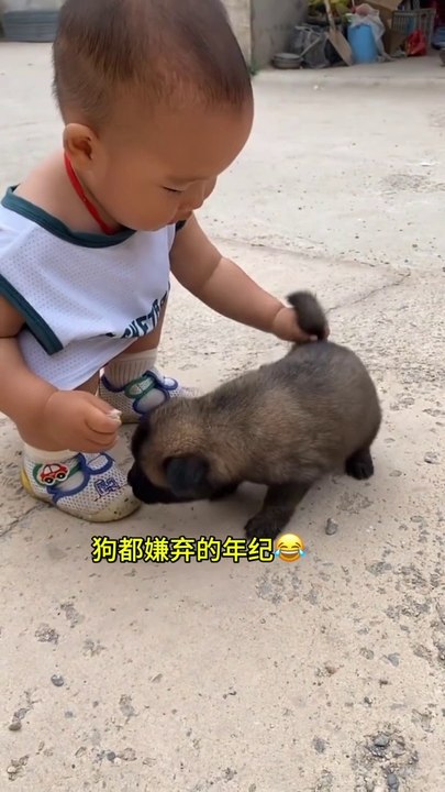 Funny video