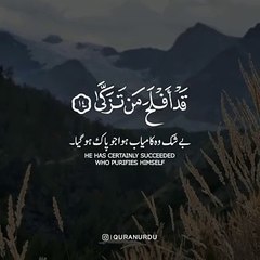 Heartfelt Quran Recitation by Abdul rahman mossad