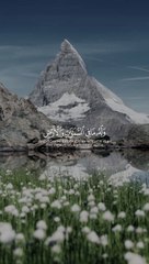 Ya Allah mazlumon ki hifazat farma