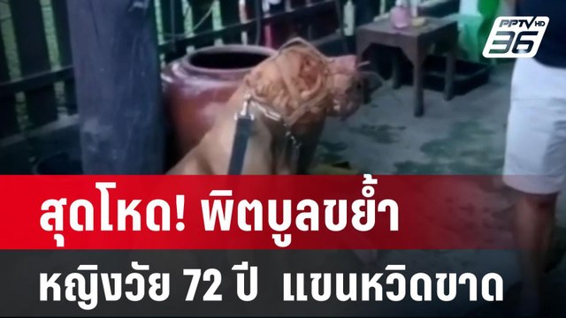 สุดโหด! พิตบูลขย้ำหญิงวัย 72 ปี แขนหวิดขาด | เข้มข่าวค่ำ | 25 มิ.ย. 67