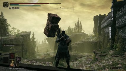 Accès Zone Nord - Shadow of the ErdTree