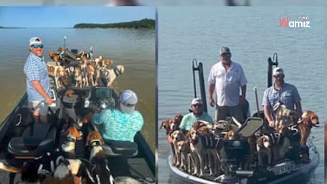 Des Américains partent pêcher : la sortie se transforme en opération de sauvetage