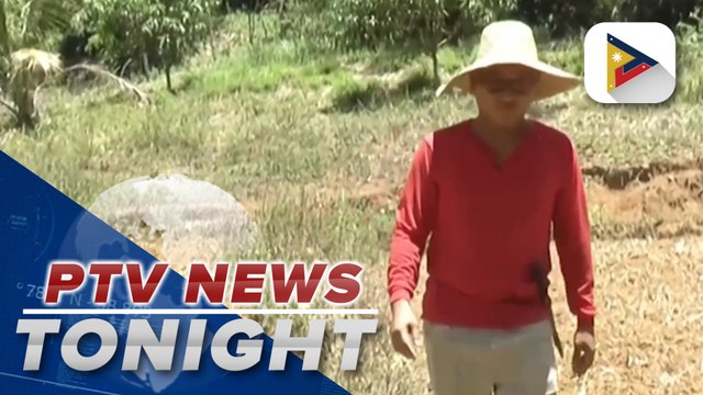 PBBM knows, understands problems, challenges of farmers