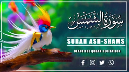 Surah Ash Shams (The Sun)  سورةالشمس | Beautiful Recitation |