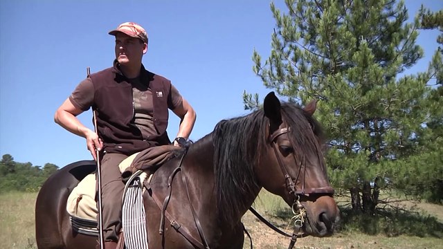 Las cañadas de Cuenca siguen a pleno rendimiento para la supervivencia de la transhumancia