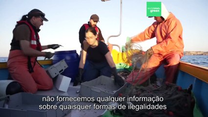 Como é a relação entre os cientistas marinhos e os pescadores?