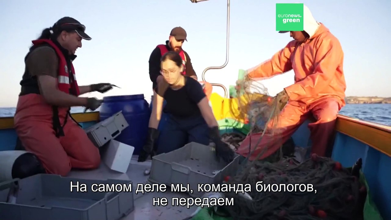 Ученые на рыбалке, зачем?
