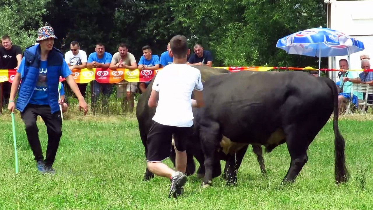 Ringo Braće Đino vs Cvrle od Herce Visoko kod Bešlića 2024