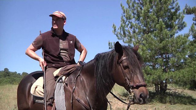 Las cañadas de Cuenca siguen a pleno rendimiento para la supervivencia de la transhumancia
