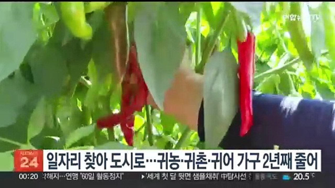일자리 찾아 도시로…귀농·귀촌·귀어 가구 2년째 줄어