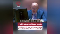 مندوب روسيا لدى مجلس الأمن: الوضع المعيشي في رفح لا يُحتمل