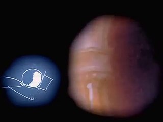 Everything Will Be OK Bande-annonce (ES)