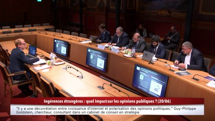 Descargar video: 100% Sénat - Ingérences étrangères : Guy-Philippe Goldstein, chercheur et consultant audition