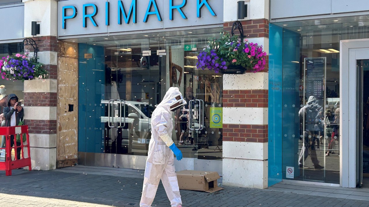 Primark shoppers evacuated after bees swarm around hanging basket