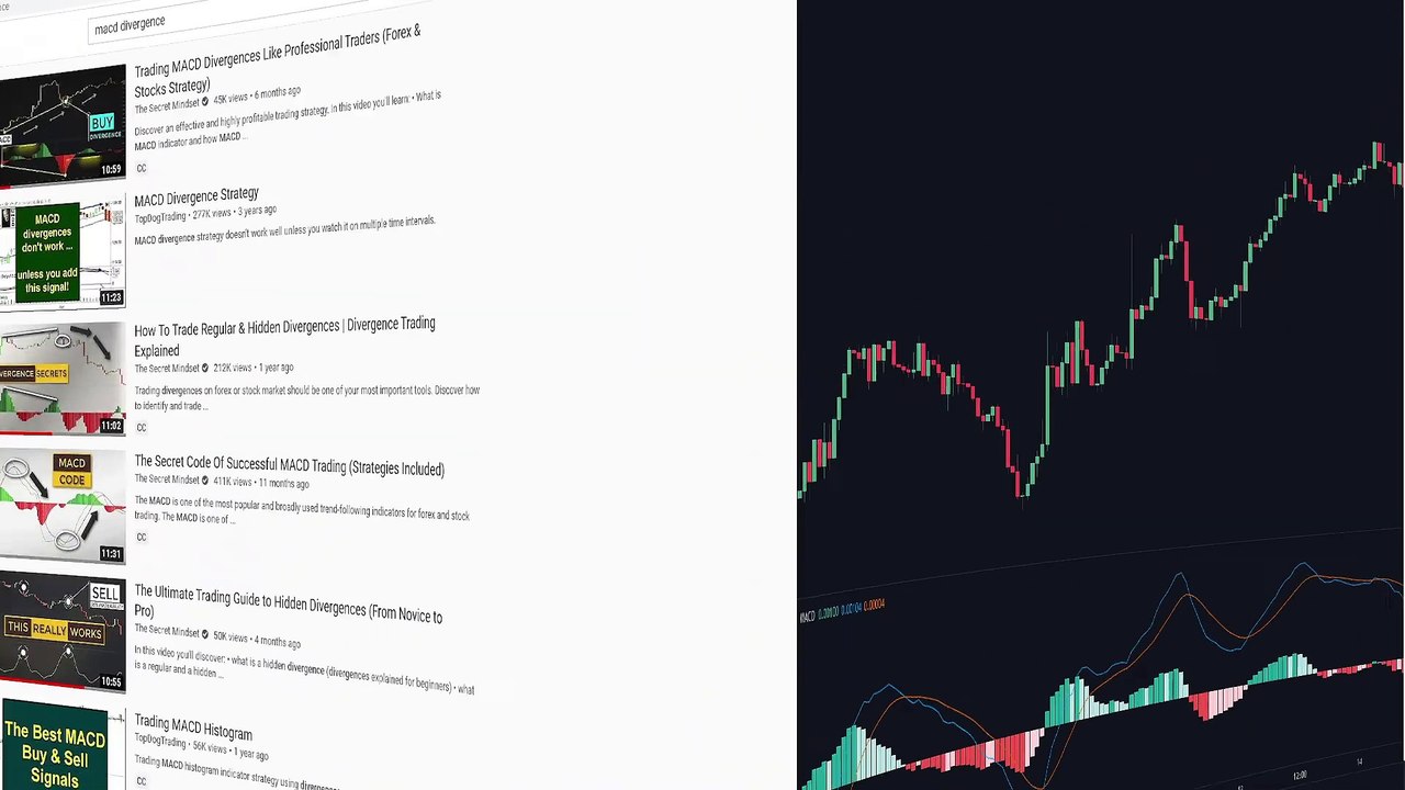 TRADED MACD DIVERGENCE 100 TIMES (REVEALING PROFITS)