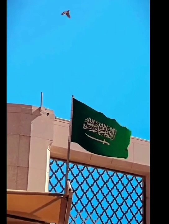 VIRAL Beautiful Short Naat That Will Melt Your Heart [2024] |Qabar andehri mai
