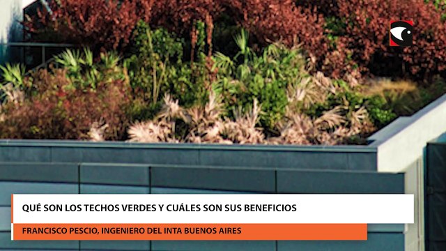 Qué son los techos verdes y cuáles son sus beneficios