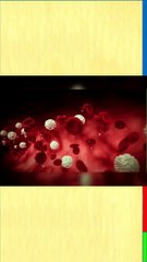 Neutrophil high count in blood || न्यूट्रोफिल काउंट हाई क्यों होता है, हाई होने से क्या होता है