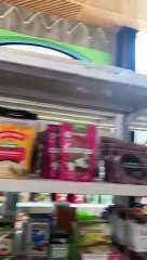 "Kwik-E-Mart" Tijuana Calle 11