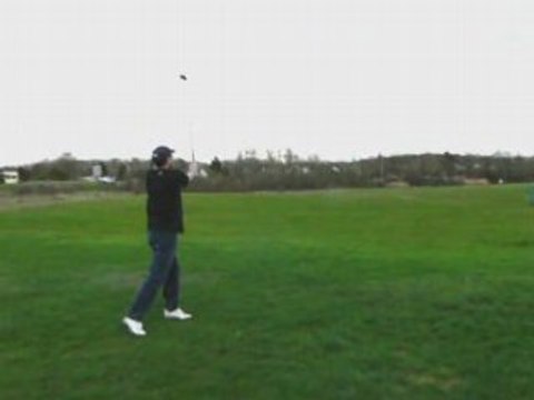 Tigre Bois tape un coup de bois 3 (au practice)