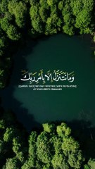 وَمَا نَتَنَزَّلُ إِلا بِأَمرِ رَبِّكَ