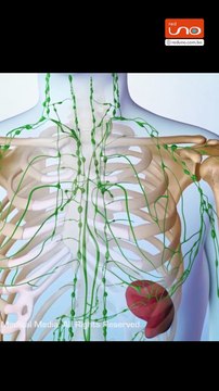 #EnRedUno | ¿Tienes tatuajes? ¿Te gustaría hacerte uno? Presta atención esto te puede interesar, expertos estudian un potencial efecto en la salud a largo plazo a causa de los tatuajes.