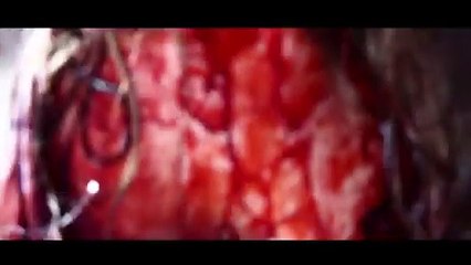 Run Bitch Run Bande-annonce (EN)