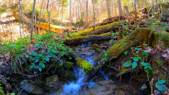 Nature Waterfall sound with islamic relexing background music _ Islah Club Official