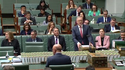 Albanese government cautious in remarks ahead of Assange's court appearance