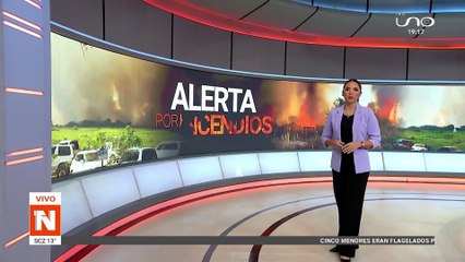 sobrevolaron zonas afectadas por incendio