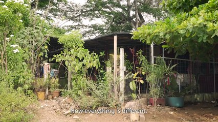 Women of the mangrove | movie | 2024 | Official Trailer