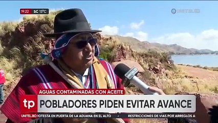 Derrame de aceite en el Titicaca amenaza con desaparecer la biodiversidad de las aves del sector