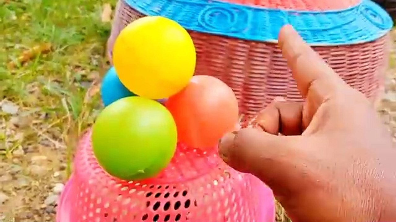 Catch Cute Chickens, Colorful Chickens, Rainbow Chicken, Rabbits, Cute Cats,Ducks,Animals Cute #67