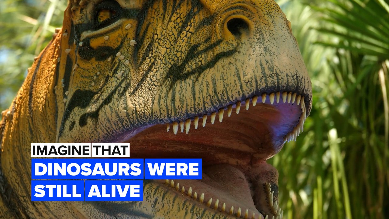 Imagine dinosaurs were still alive