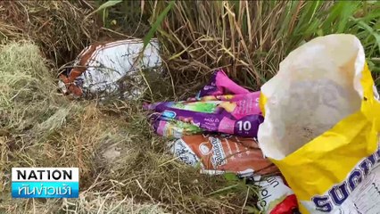 ไขปมฆ่าสุนัข 11 ตัว หมกป่า | เนชั่นทันข่าวเช้า | 26 มิ.ย. 67 | PART 2