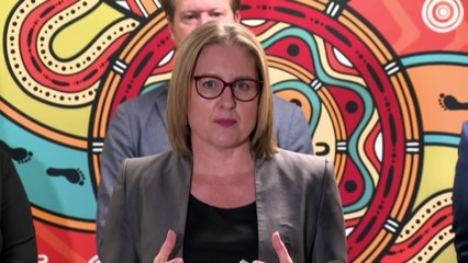 Victorian government outlines details of 18-month, $4 million pill testing trial