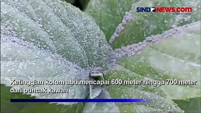 Pagi Ini Gunung Lewotobi Laki-Laki Kembali Erupsi, Semburkan Abu Vulkanik 700 Meter
