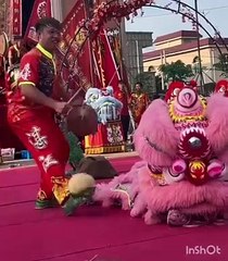 Amazing dragan dance