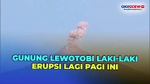 Gunung Lewotobi Laki-Laki Kembali Erupsi Pagi Ini, Tinggi Kolom Abu Capai 700 Meter