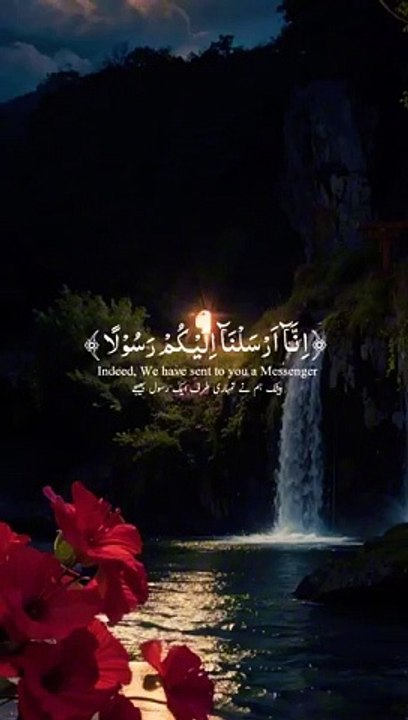 VID-20240626-WA0019