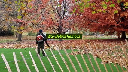 What Does Professional Yard Clean Up Include