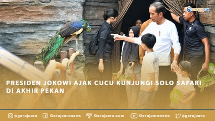 PRESIDEN JOKOWI AJAK CUCU KUNJUNGI SOLO SAFARI DI AKHIR PEKAN