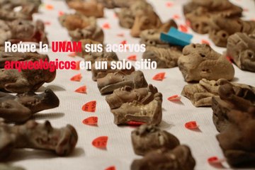 Reúne la UNAM sus acervos arqueológicos en un solo sitio