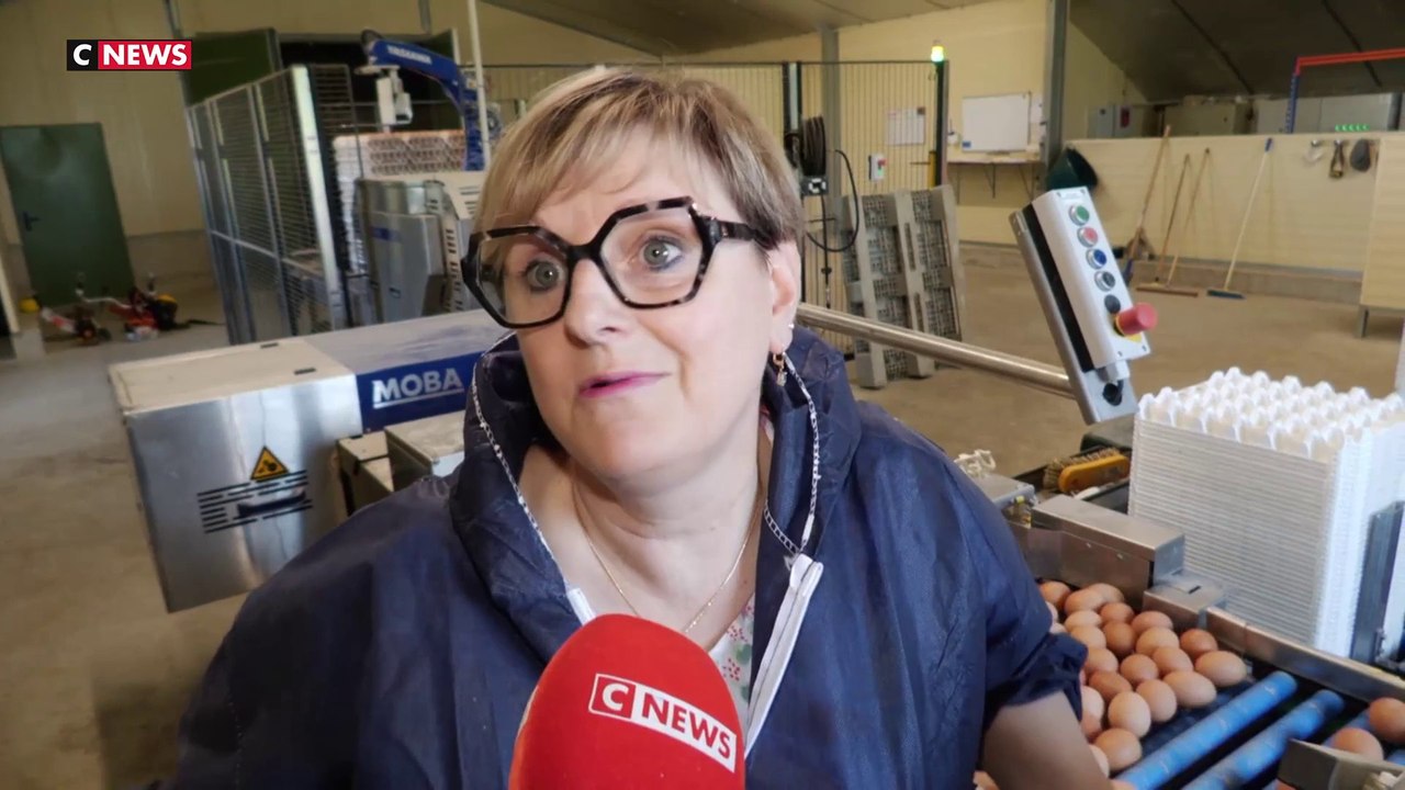 Production d'œufs : les éleveurs alertent