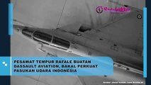 Bakal Perkuat Pasukan Udara Indonesia, Ini Dia Tampilan Pesawat Tempur Rafale